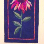 Coneflower