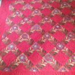 Photo of Quilt: Cheryl-Breeze_Applique-Sampler