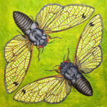 Photo of Quilt: CicadaDance1Small